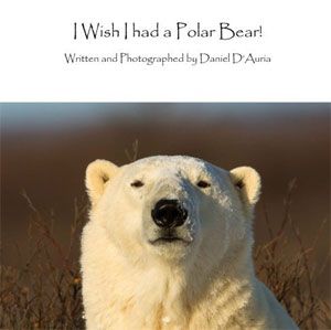 I Wish I Had a Polar Bear by Daniel D'Auria I Wish I Had a Polar Bear by Daniel D'Auria