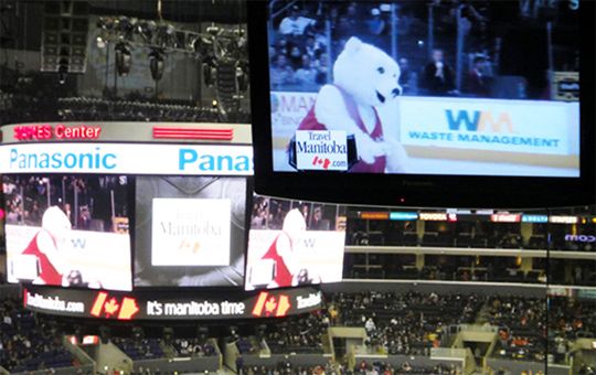 Polar Bear On Ice At LA Kings Game Travel Manitoba Mascot Toba on the Los Angeles Kings ice.