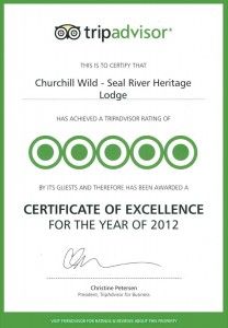 Churchill Wild Trip Advisor Certificate of Excellence 2012 Churchill Wild Trip Advisor Certificate of Excellence 2012
