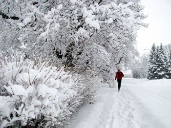 Winter Running Winter Running - Albert Martens