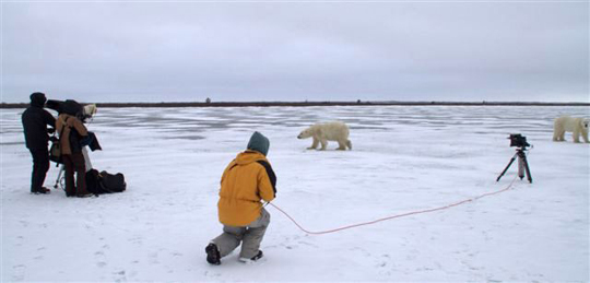 Polar Bears: A Summer Odyssey - 3D film crew in action near Seal River Lodge. Polar Bears: A Summer Odyssey - 3D film crew in action near Seal River Lodge.
