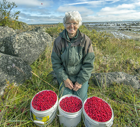 The Cranberry Queen, Helen Webber, on the shores of Hudson Bay at Seal River Heritage Lodge. The Cranberry Queen, Helen Webber, on the shores of Hudson Bay at Seal River Heritage Lodge.