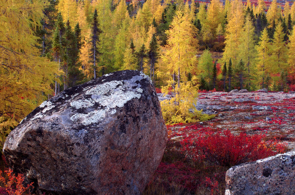 Fall colours at Schmok Lake. Dennis Fast photo.