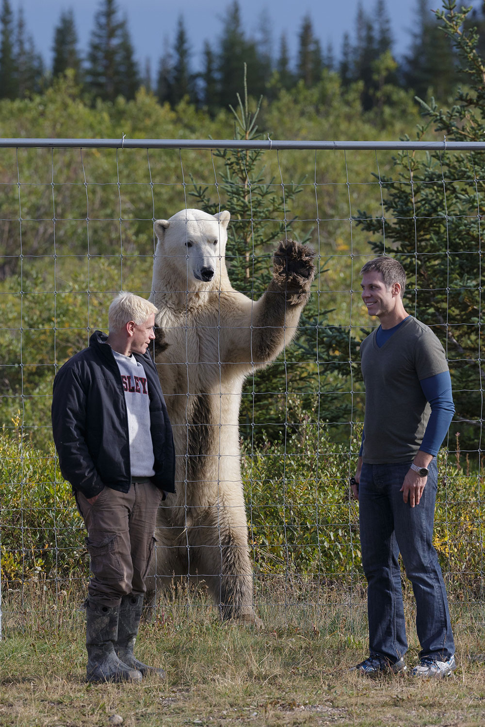 Hudson Bay Odyssey | Polar Bear Tours | Churchill Wild
