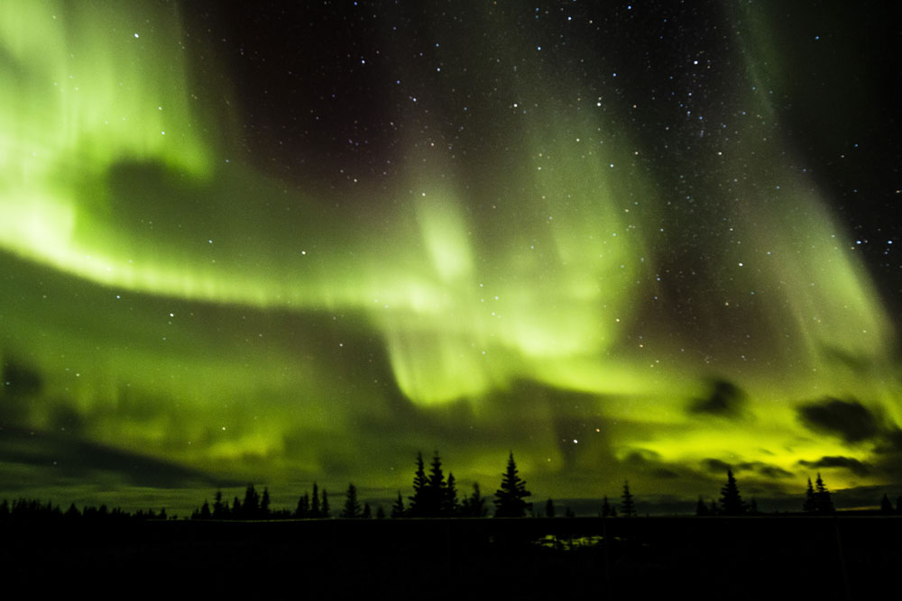 Aurora Borealis. Nanuk Polar Bear Lodge. Ryohei Orihara photo.