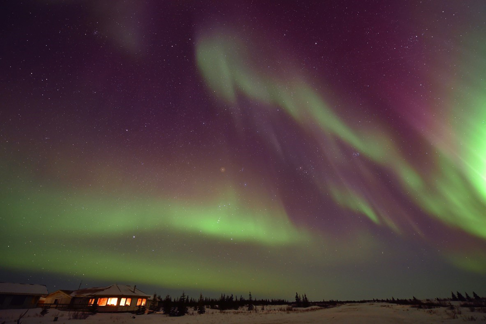 Northern lights over Nanuk Polar Bear Lodge. Ian Johnson photo.
