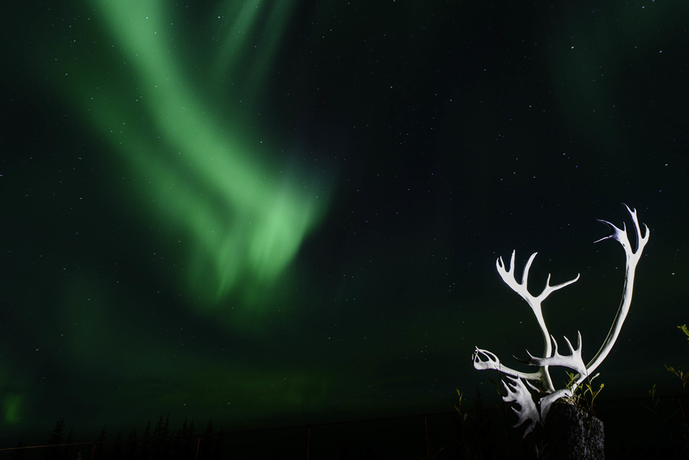 Northern lights over Nanuk. Jad Davenport photo.