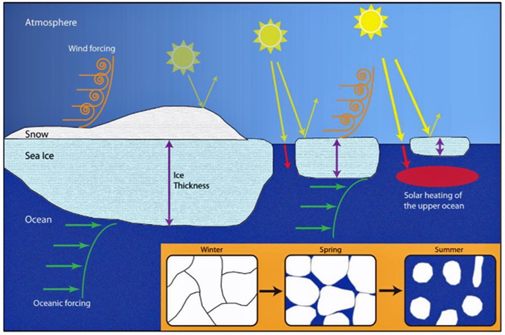 The control which sea ice has on the exchange of light, heat and momentum in the marine system.