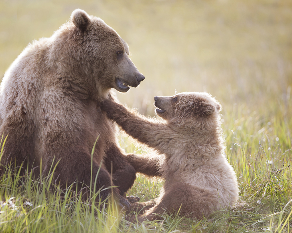 Personality in a photo. "Pav" and her cub. Ruth Elwell-Steck photo.