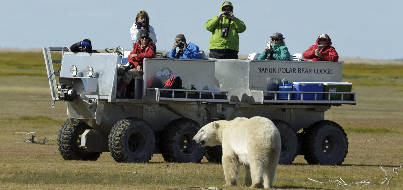Arctic Discovery | Polar Bear Tours | Churchill Wild